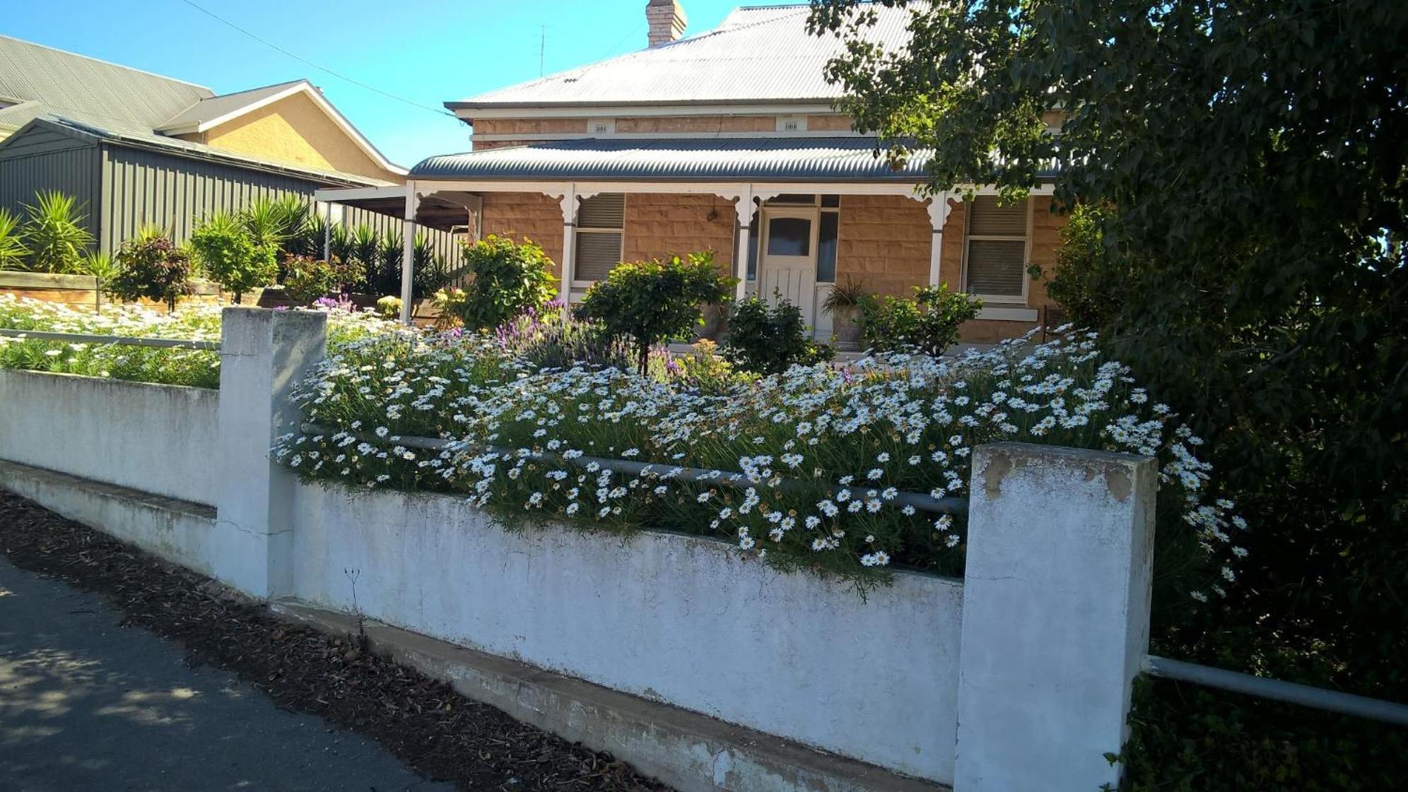 Book Keepers Cottage Waikerie Exteriér fotografie
